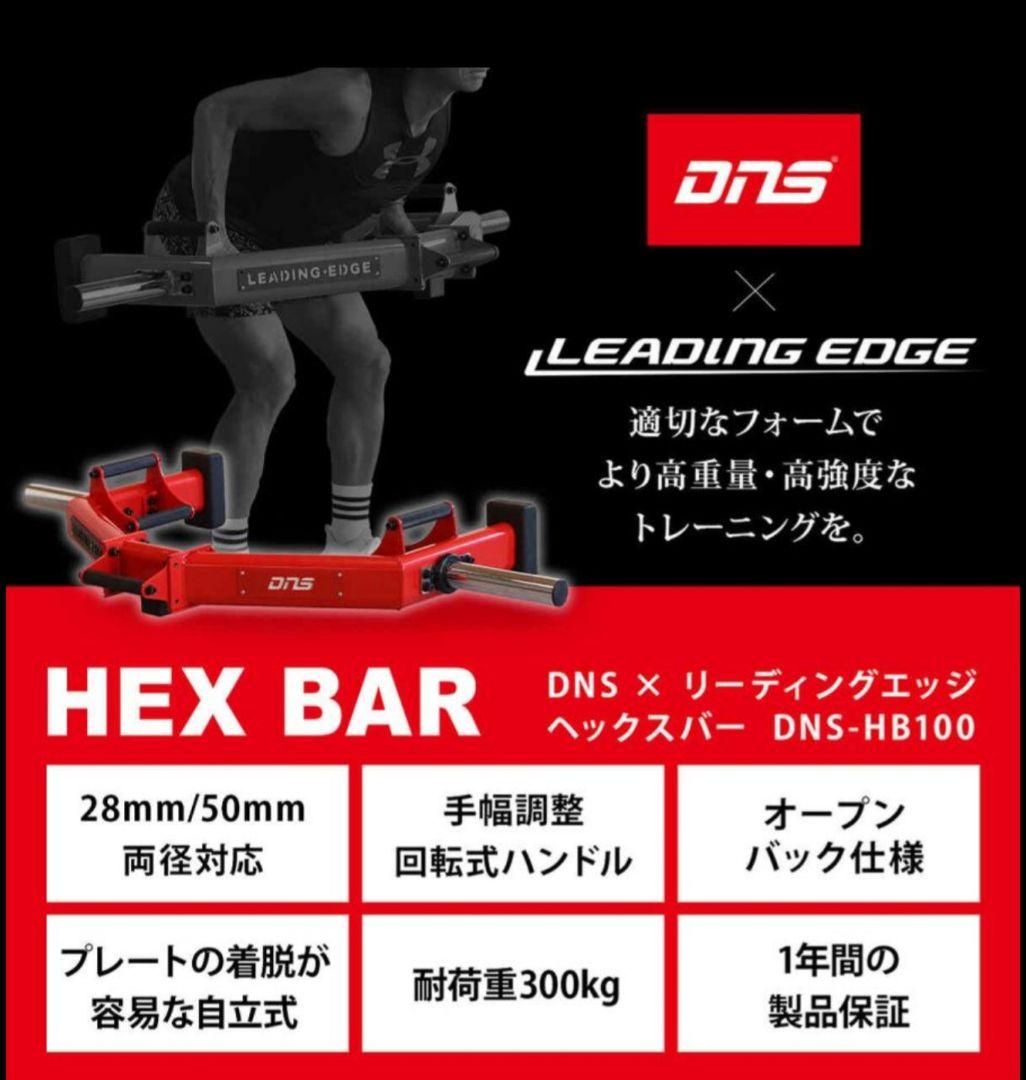 DNS リーディングエッジ ヘックスバー