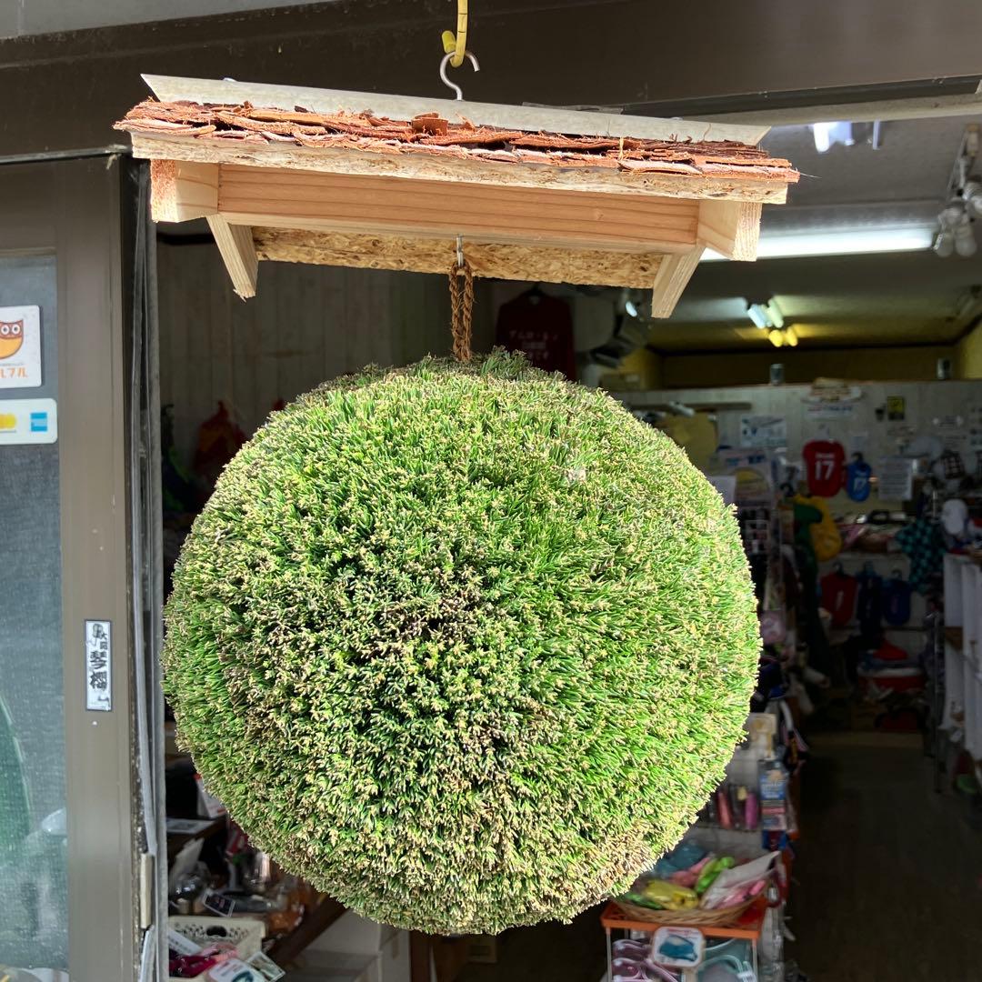 杉玉【屋根付き】①