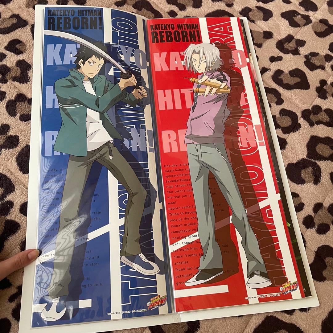 家庭教師ヒットマンREBORN! スティックポスター ファイル 獄寺隼人 山本武