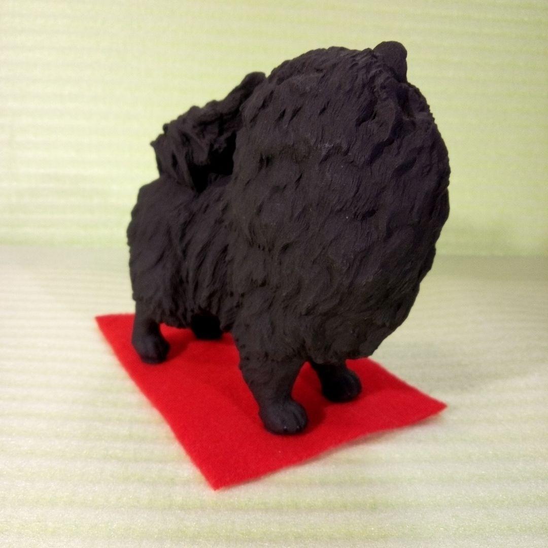 ポメラニアン　黒　ブラック　ブラックポメラニアン　レア　フィギュア