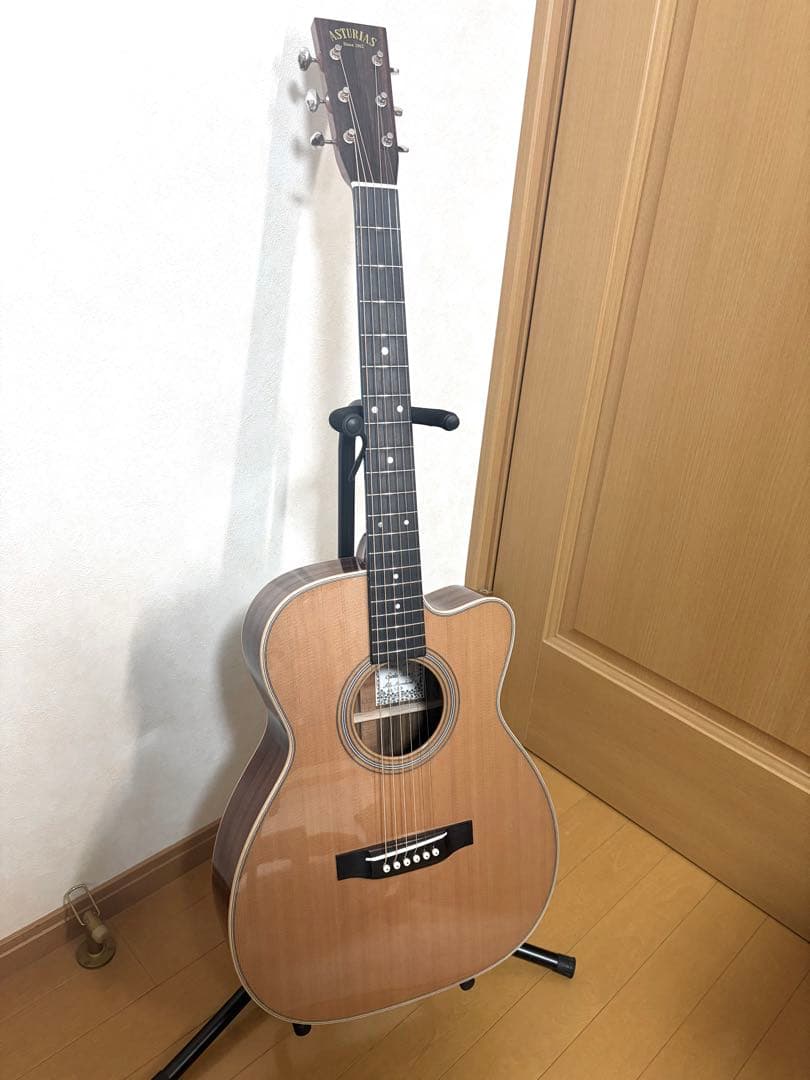 j*s様 新品 ASTURIAS ソロ スタンダード C アストリアス アコギ