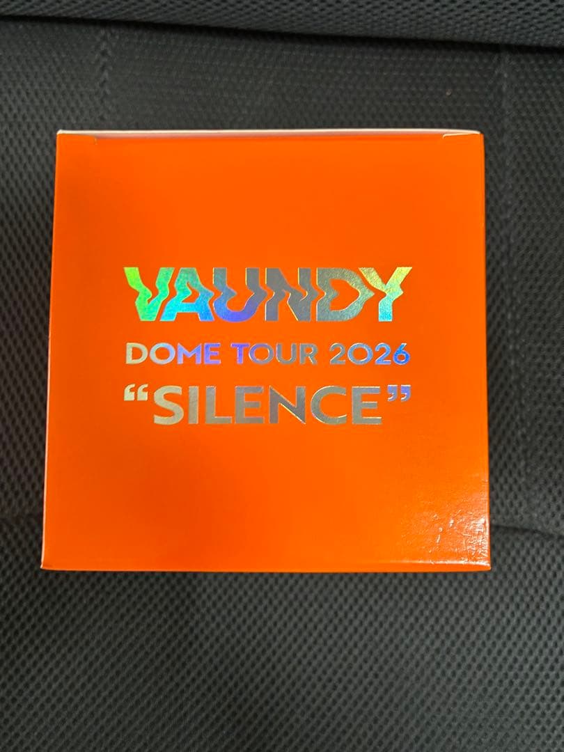 新品 未開封 VAUNDY SILENCE スノードーム  Globe