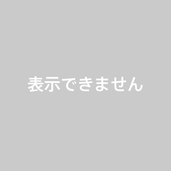 Louis Vuittonノベルティピアス2点セット