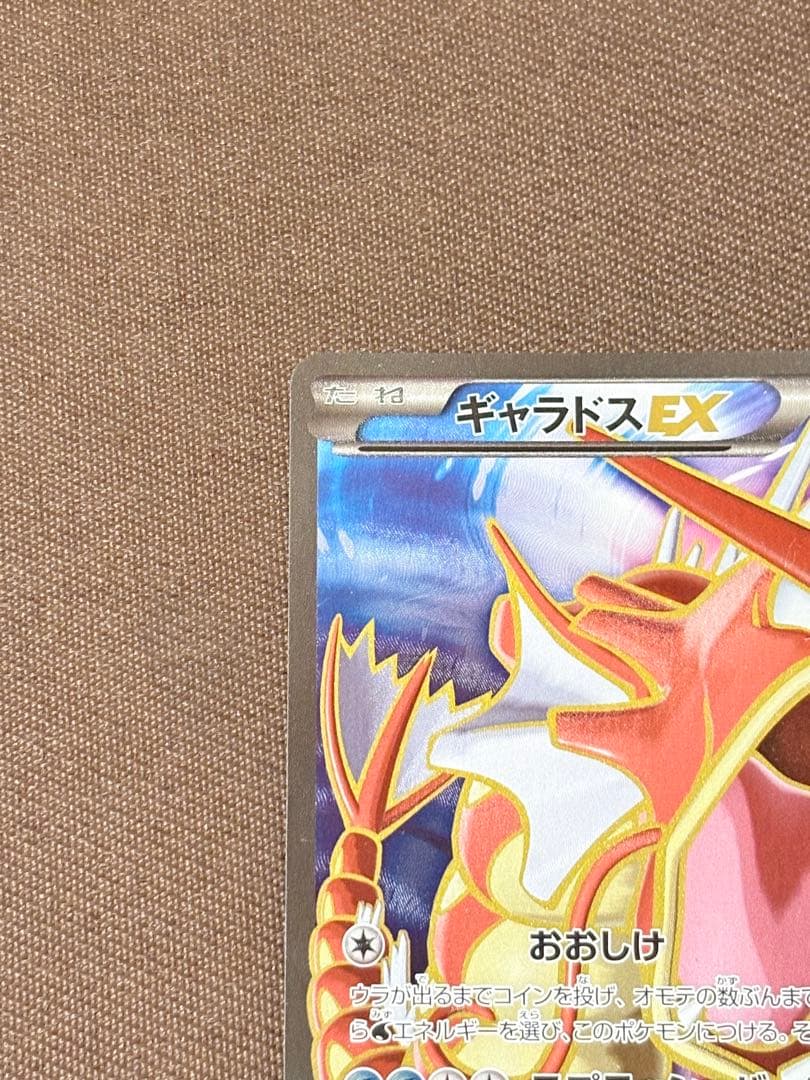 【美品】ギャラドスEX SR XY9 破天の怒り 081/080