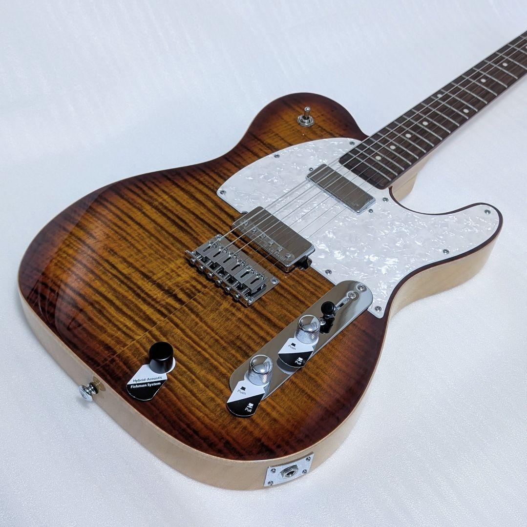 ギター Michael Kelly Hybrid 55 Tiger Eye Burst