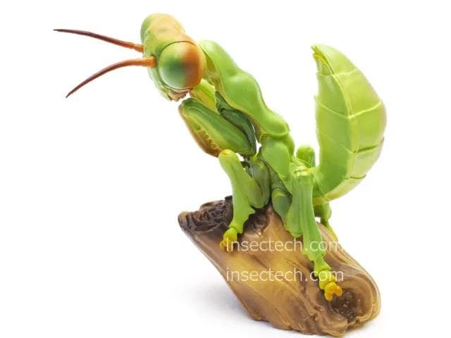 【廃盤貴重】　動物の惑星　アニマルプラネット　オオカマキリ フィギュア　正規品