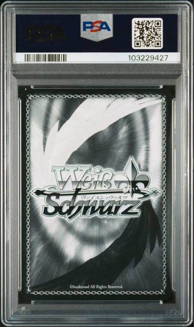 異世界常夏生活レム　psa8