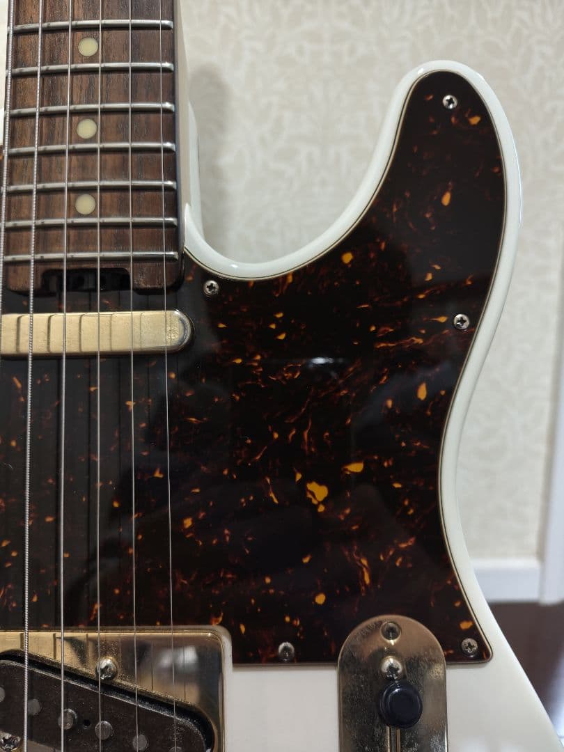 ギター Schecter Progauge Series PS-TL-N SWSB/R