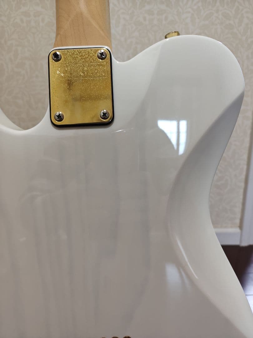 ギター Schecter Progauge Series PS-TL-N SWSB/R