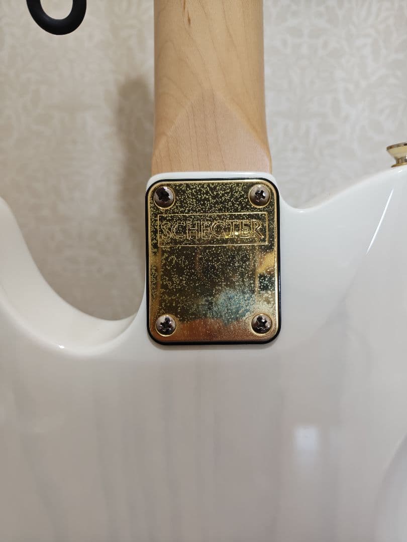 ギター Schecter Progauge Series PS-TL-N SWSB/R