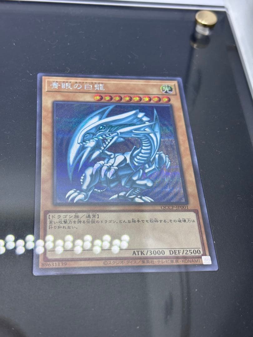 青眼の白龍 3枚セット QCCP-JP001 シークレット3枚