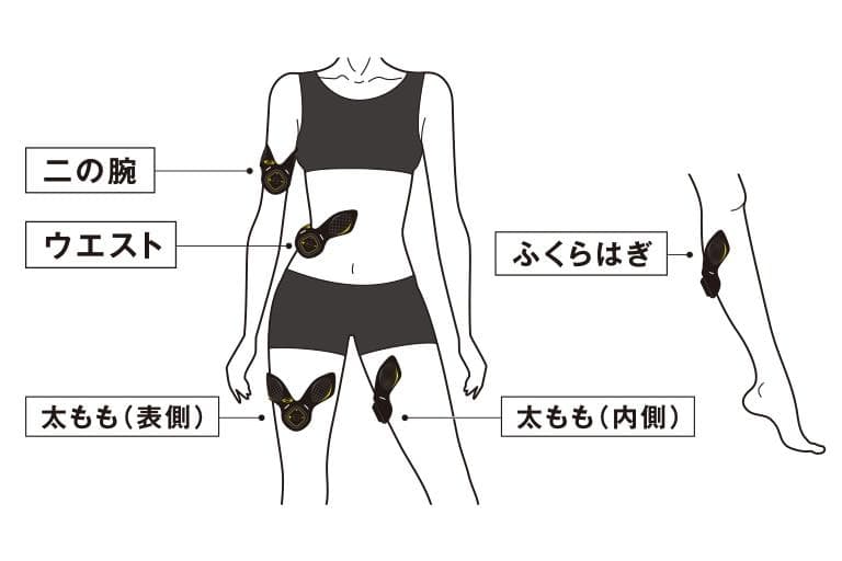 RIZAP 3D Shaper [3D Spot] ライザップ 振動 部分痩せ