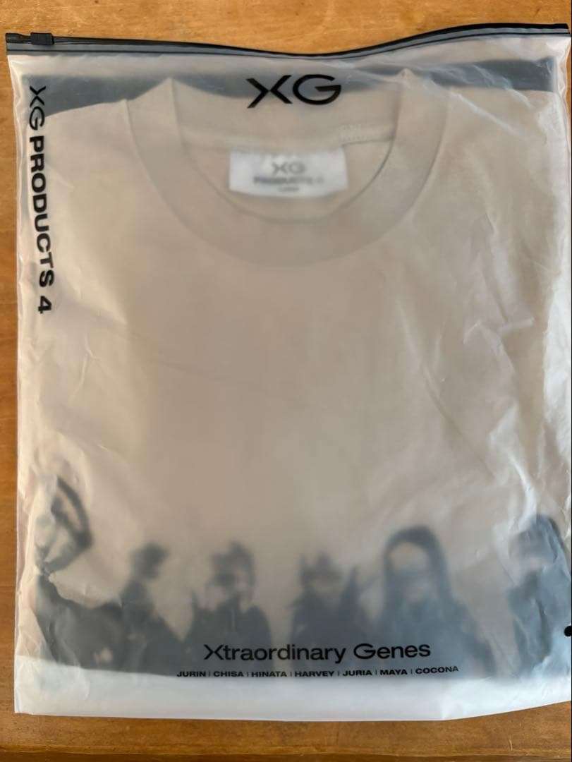 XG THE CORE GREIGE ロングスリーブTシャツ　Lサイズ
