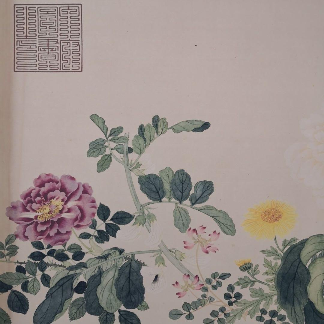 万有同春図 長巻 掛軸 70×340cm 花鳥画