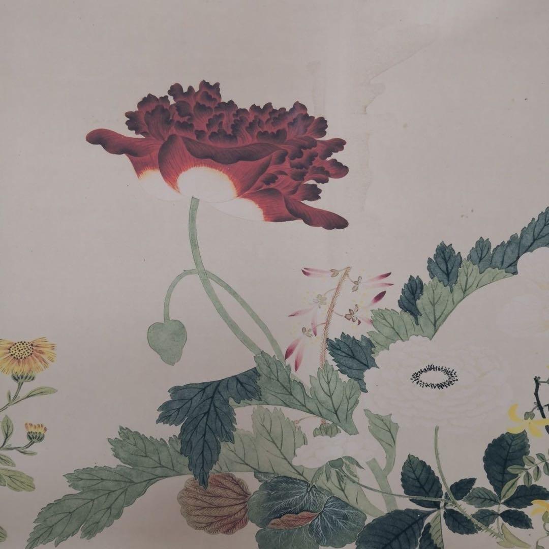 万有同春図 長巻 掛軸 70×340cm 花鳥画