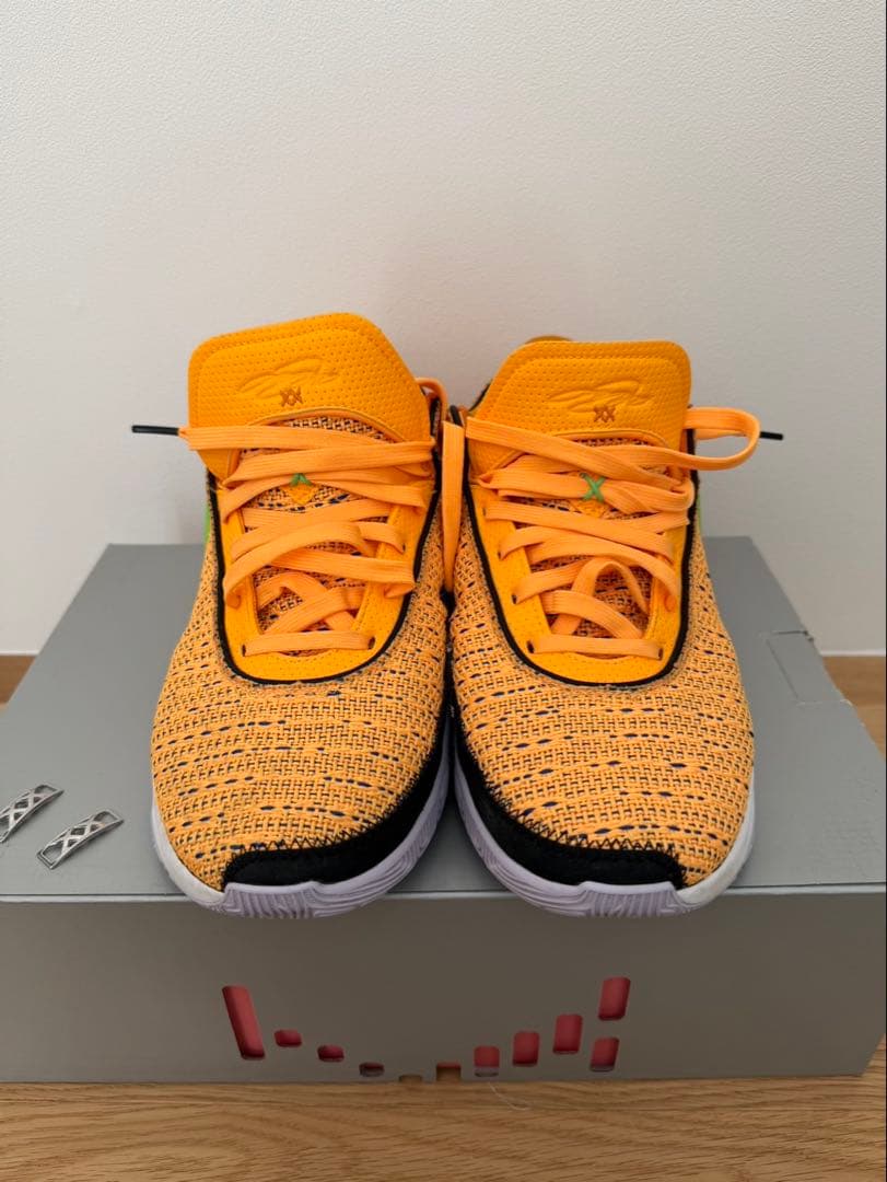 [BIRD33様] Nike LeBron 20