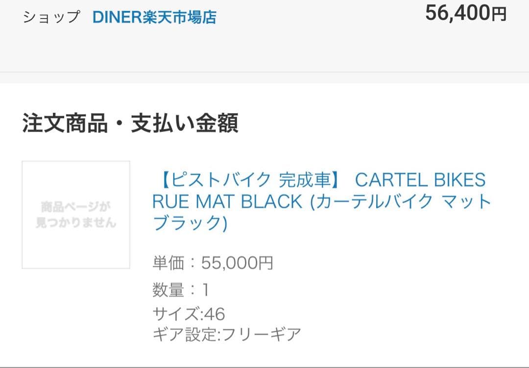 CARTEL BIKES RUE MAT BLACK ピストバイク46size