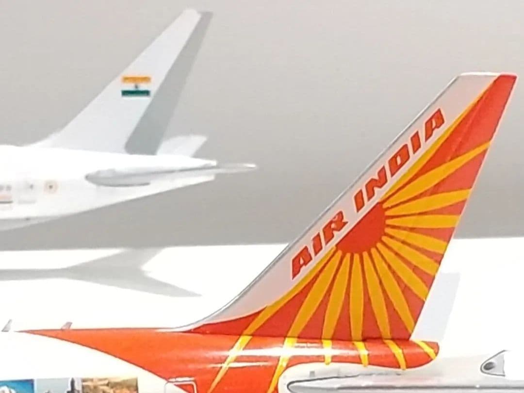 インドエア B777-300 特別塗装機