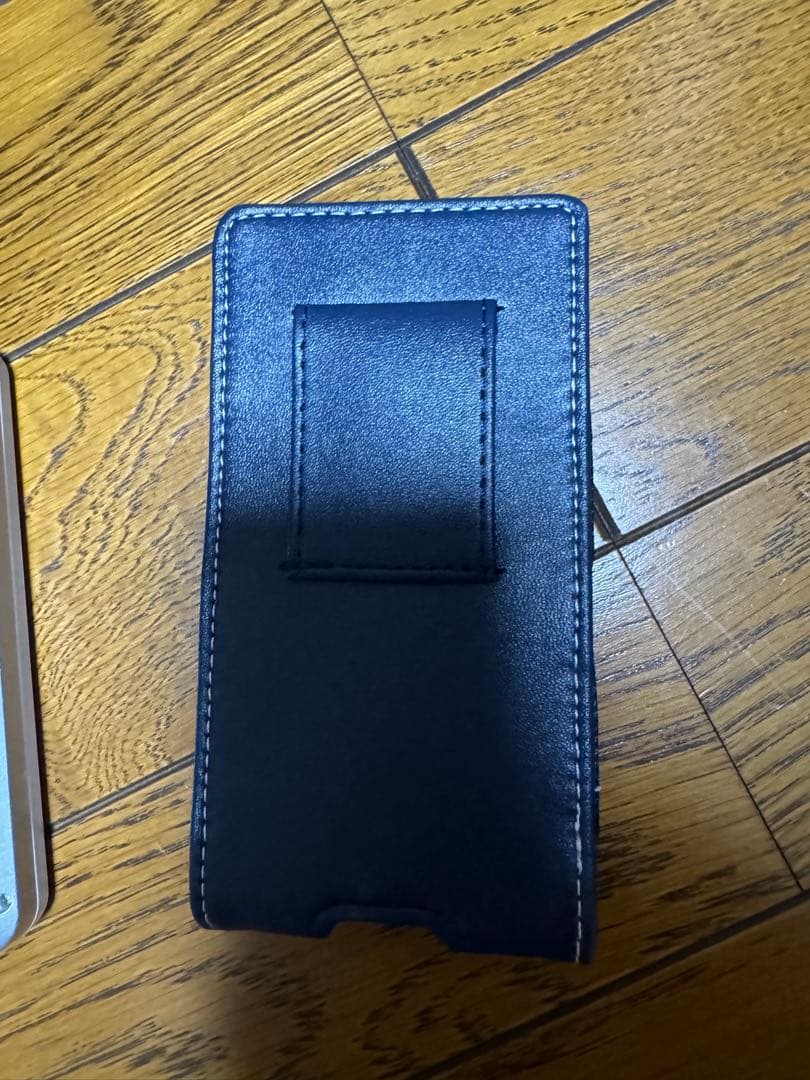イーグルヴィジョン　ゴルフ距離計測器
