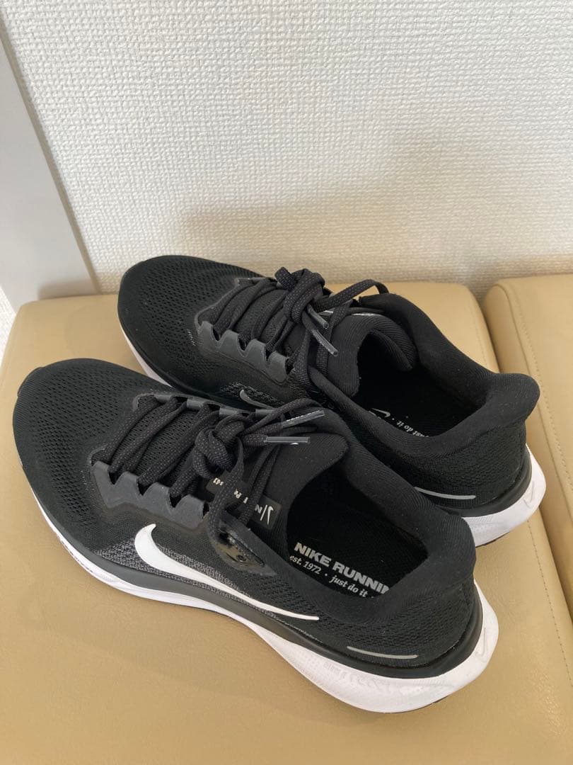 Nike ペガサス41 26㎝
