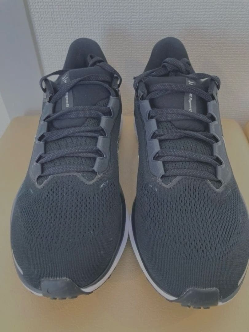 Nike ペガサス41 26㎝