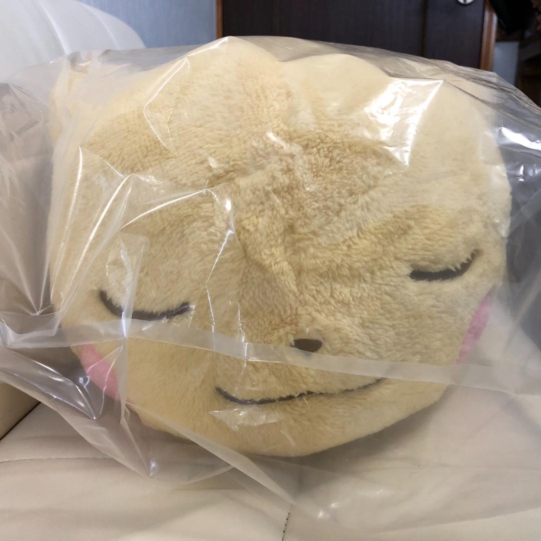 未開封 オスのピカチュウとってもおおきなふんわりぬいぐるみ ポケモン