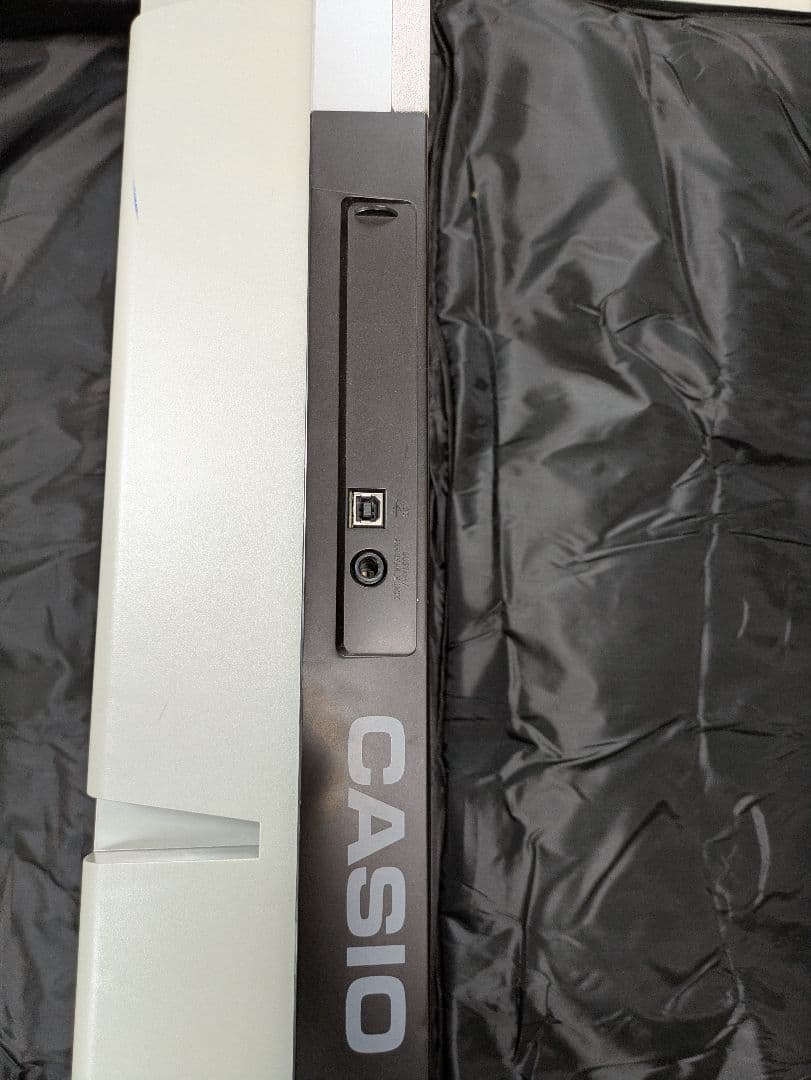 カシオWK-220 専用ケース付き