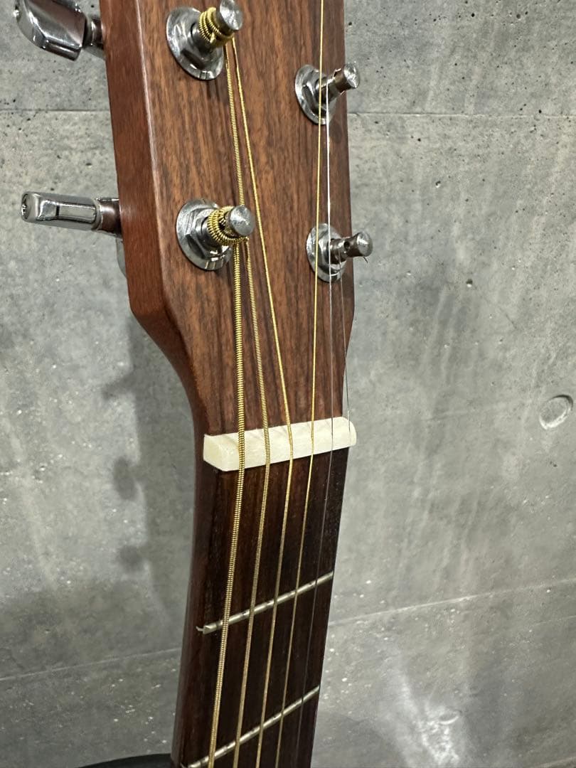 Martin&Co DM Mahogany Dreadnought USAモデル