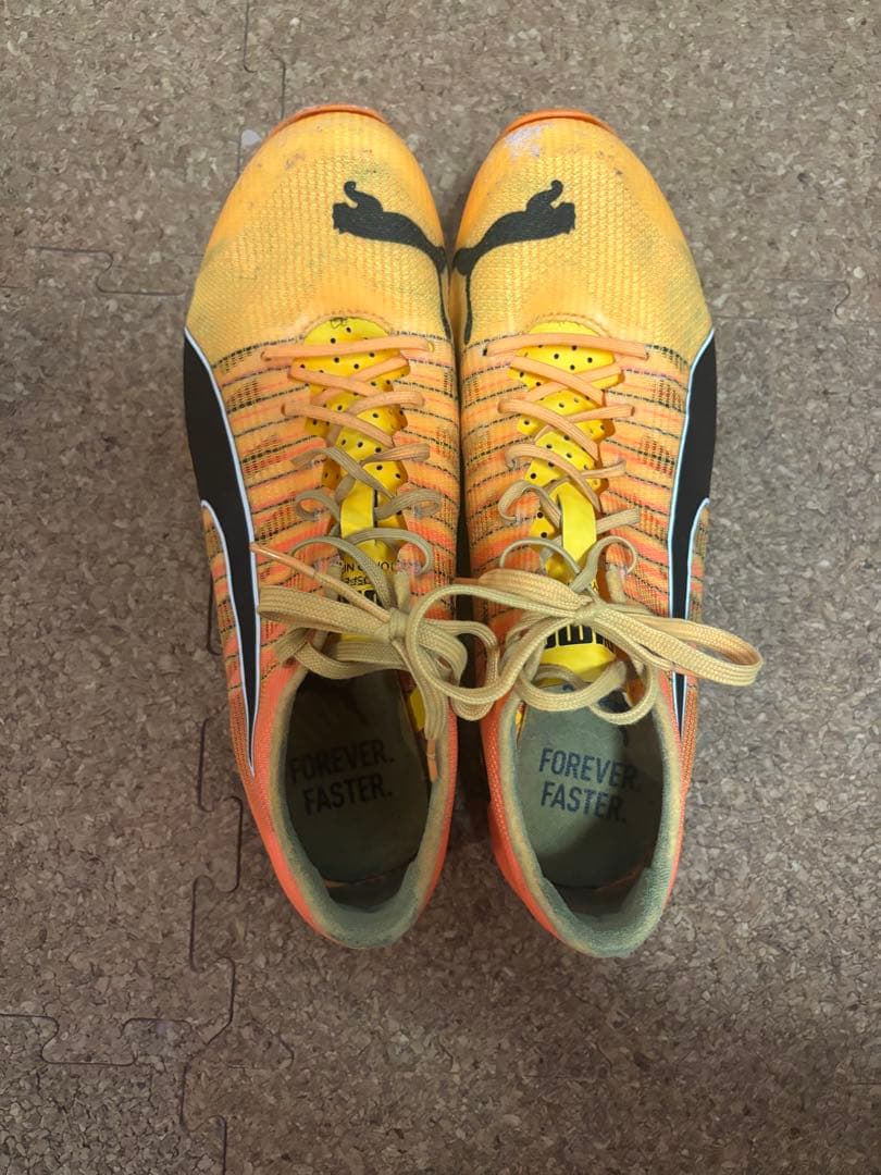 PUMAEVOSPEEDTOKYO nitro エヴォスピード ニトロ 25cm