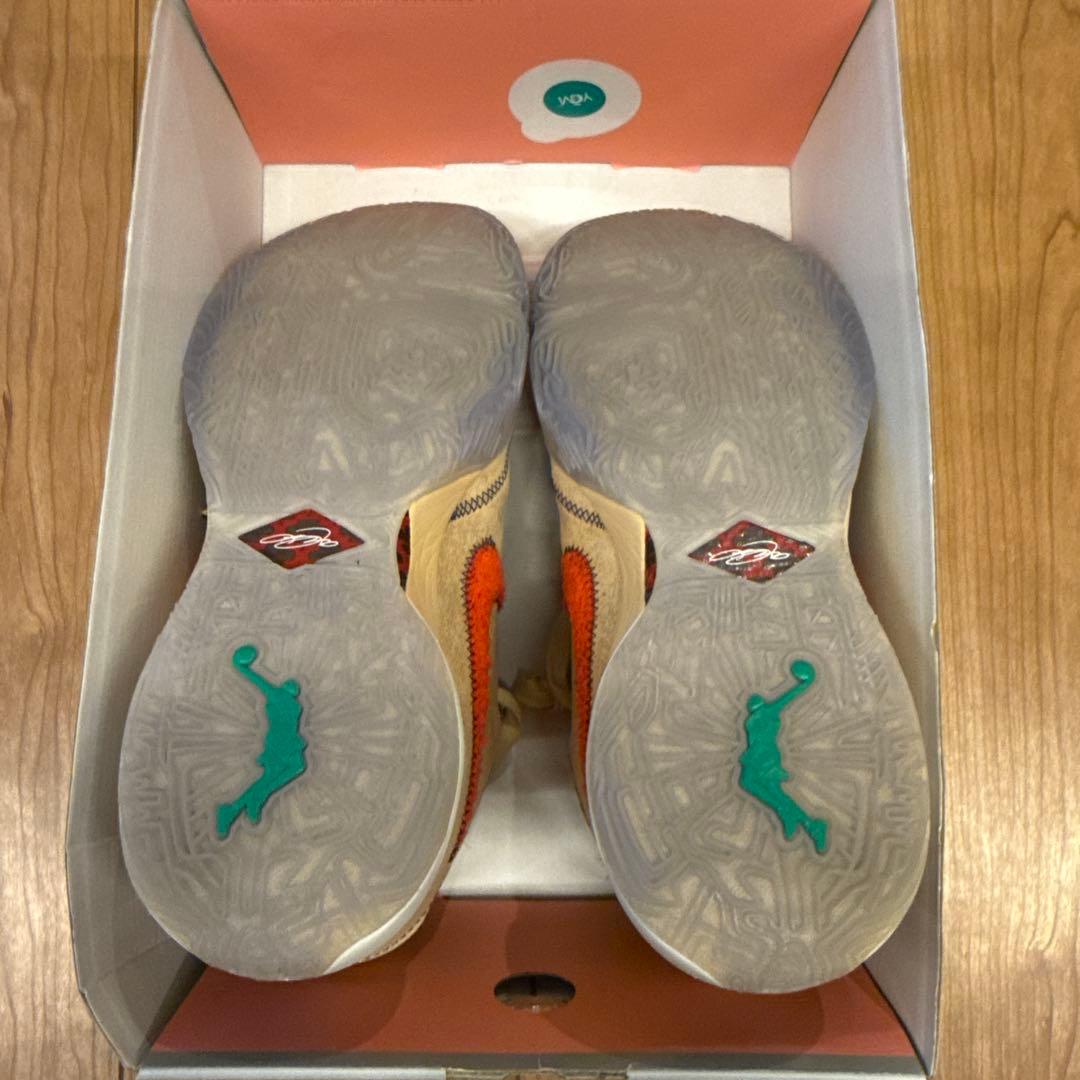 NIKE レブロン20 LeBron20 EP バスケットボールシューズ