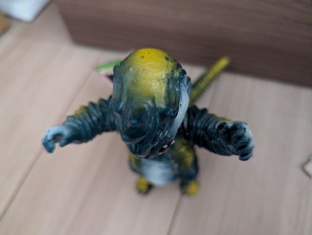 アボラス　プラタグ付き