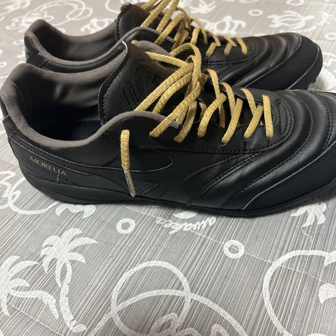 n*f様 モレリア SALA PRO TF