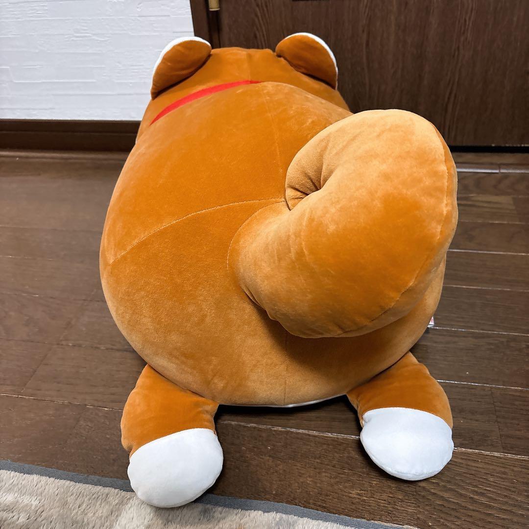 【期間限定価格】ハッピーまめしば 特賞