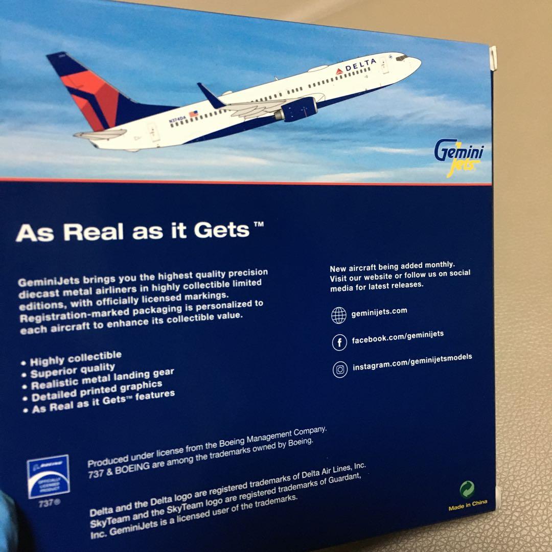 Delta Airlines Boeing 737-800 デルタ航空