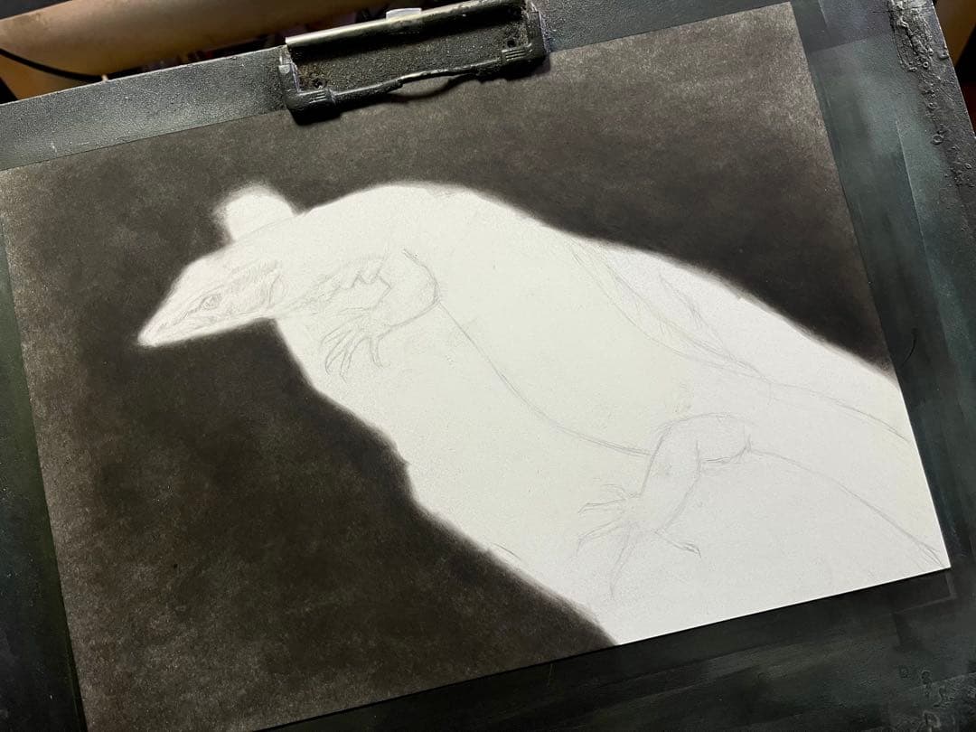 リッジテールモニター（トゲオオオトカゲ）　色鉛筆画