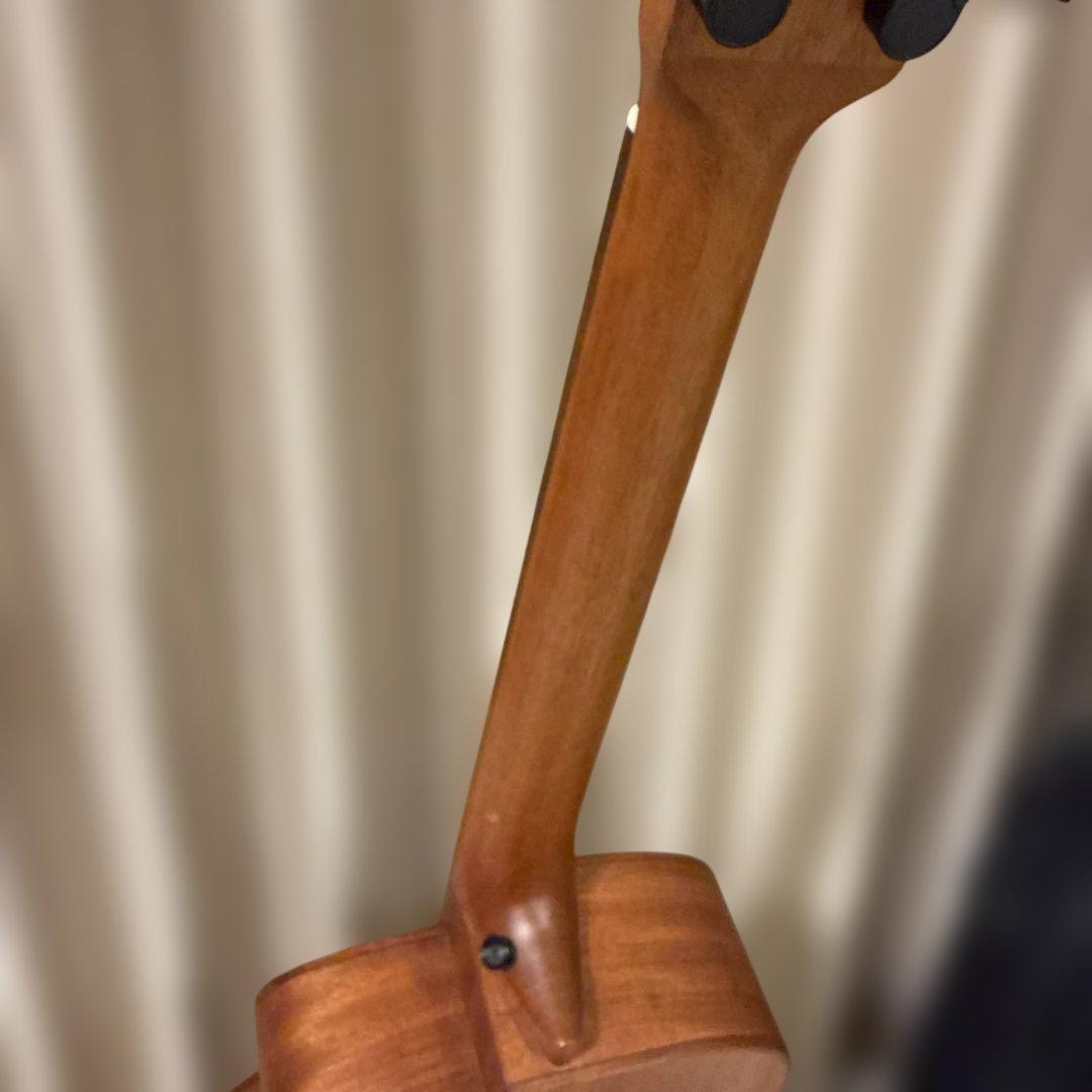 【2月末まで】 anuenue bird guitar ann－m2