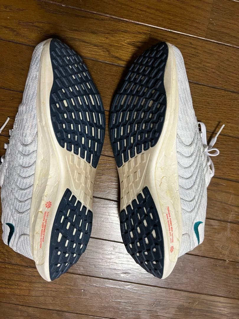NIKE ナイキ ペガサスターボネクストネイチャー 25cm 陸上 マラソン