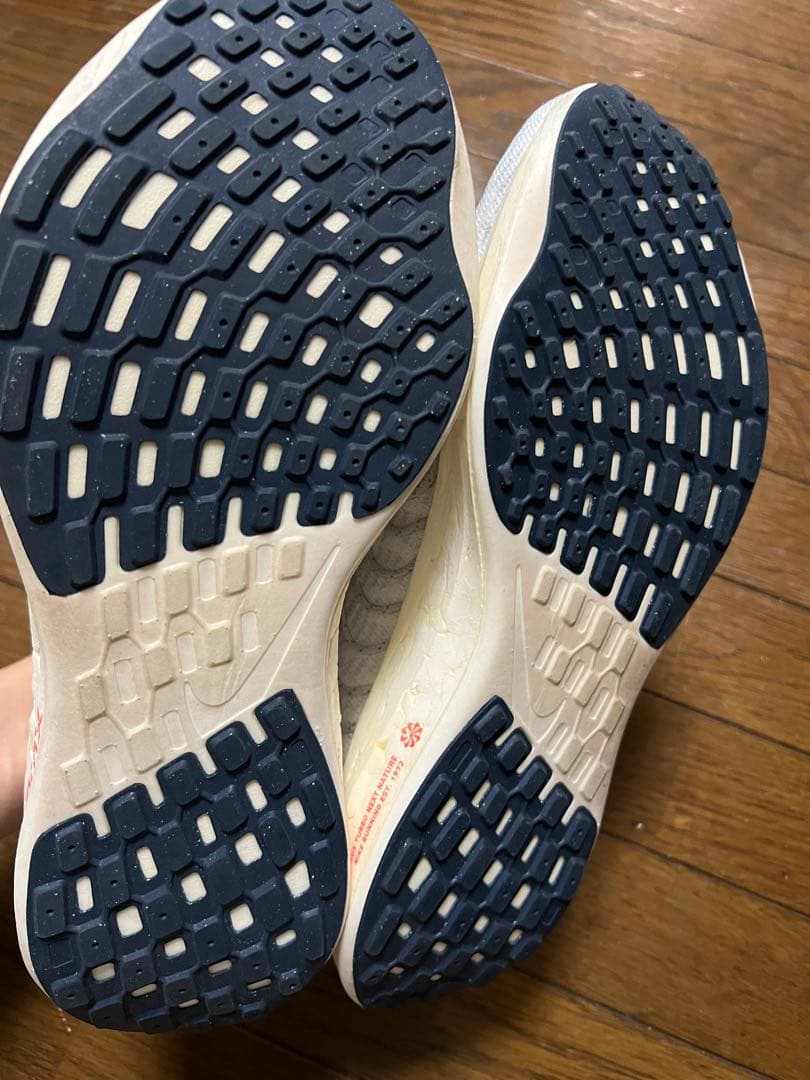 NIKE ナイキ ペガサスターボネクストネイチャー 25cm 陸上 マラソン