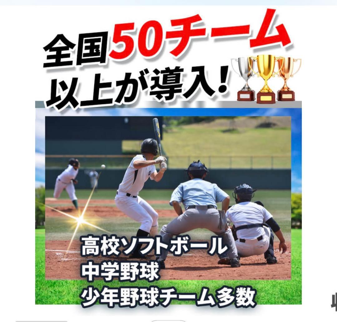 野球ネット