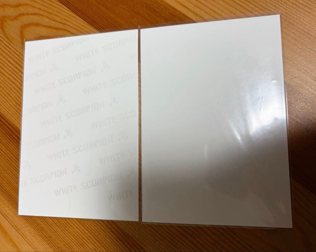 WHITE SCORPION ホワスピ ALLY 直筆サイン入り生写真付き4枚