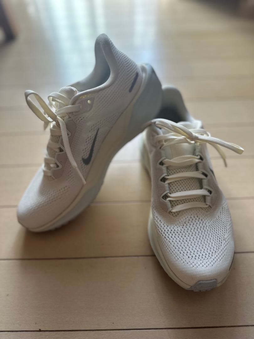 NIKE ナイキ　ズーム　ペガサス41 23cm