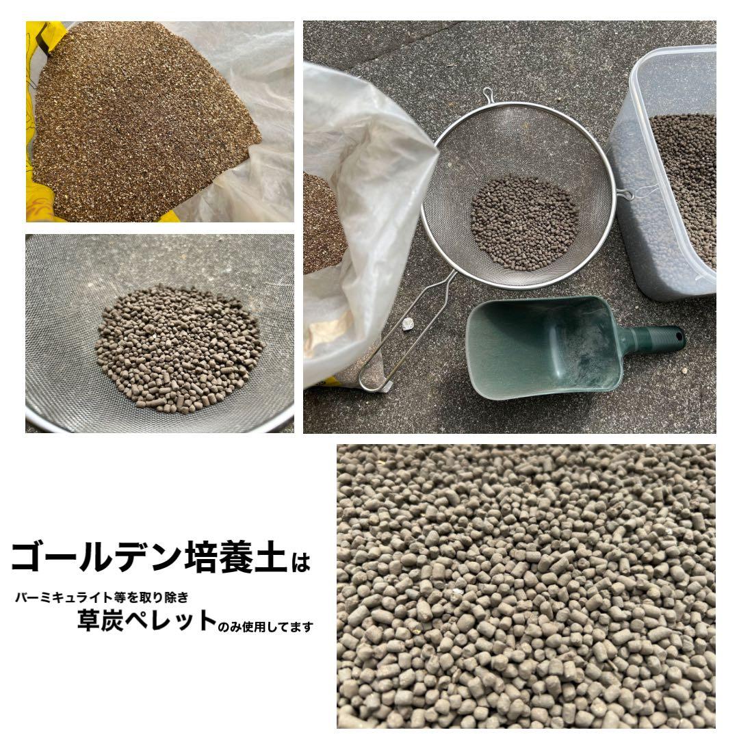 【三本線赤玉土使用】　アガベ・塊根植物　用土「小粒」 10㍑ コーデックス培養土