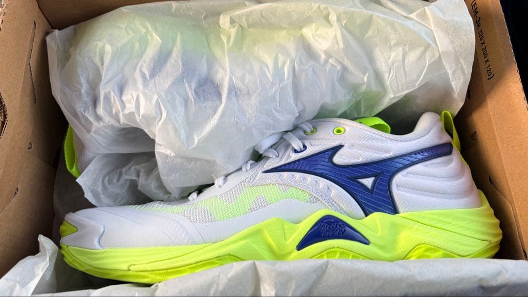 Mizuno WAVE MOMENTUM ELITE ウェイブモーメンタム26㎝
