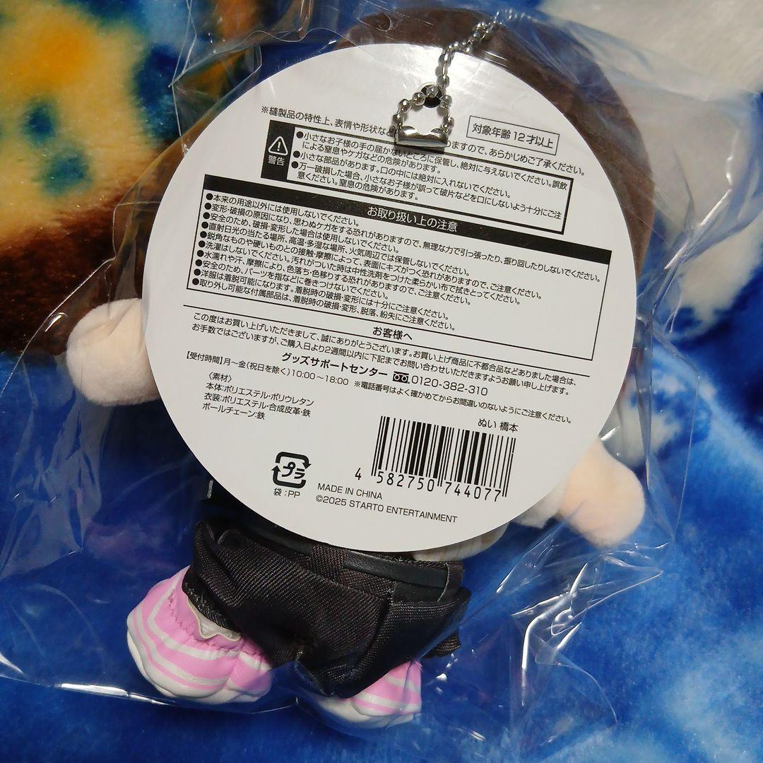 【新品未開封】タイムレス　timelesz　ぬい　橋本将生
