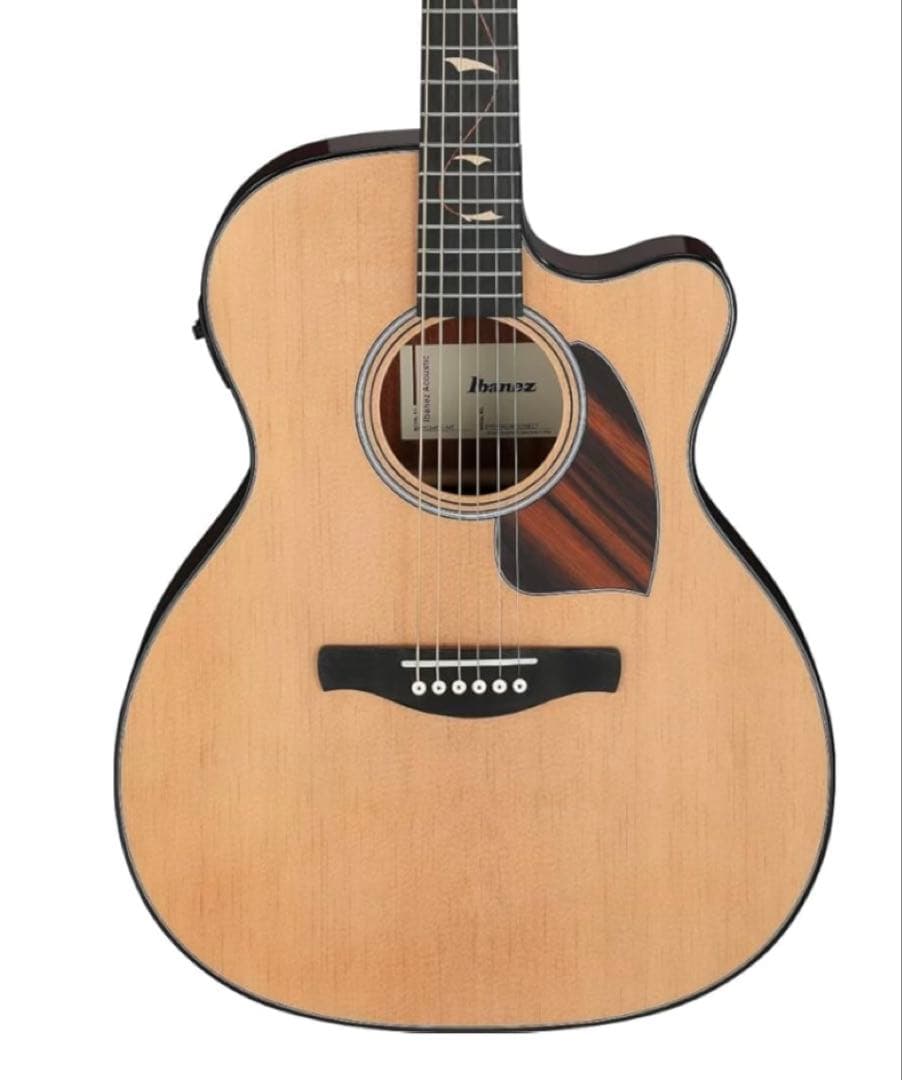Ibanez アコースティックギター エレクトロニクス内蔵