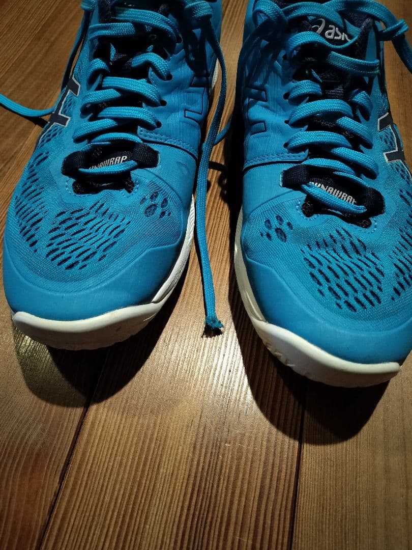 t*6様 入手困難レア色！ アシックス スカイエリートff 2 26.5 SKY