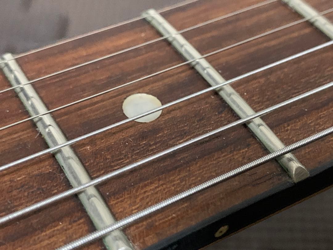 SX STANDARD SERIES CUSTOM ストラト レリック