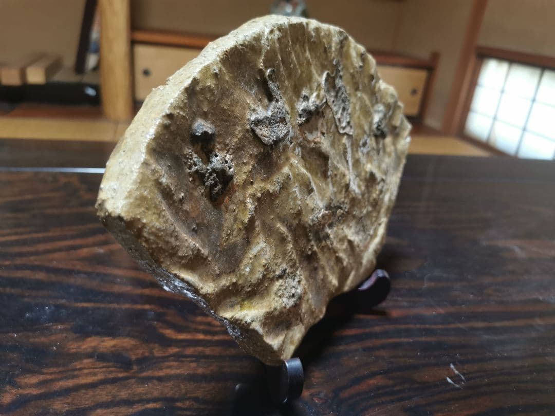 國吉清尚 焼締窯変扇大皿 真作保証