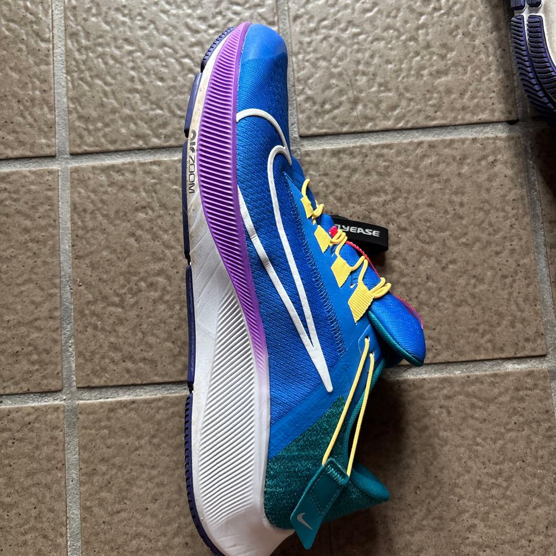 NIKE AIR ZOOM Pegasus 38 箱付き