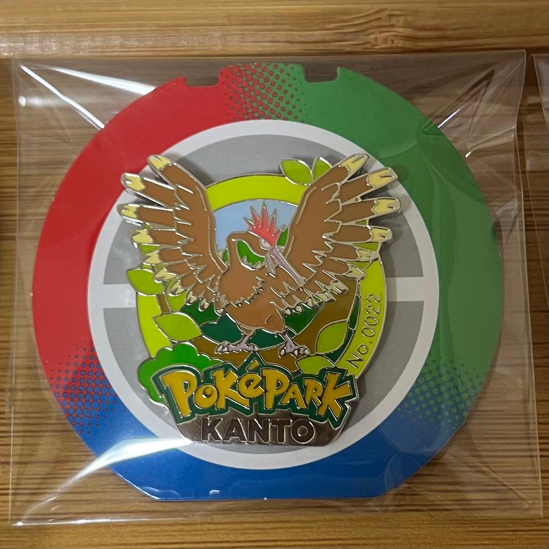 ポケパーク カントー 限定 ピンバッジ 13点